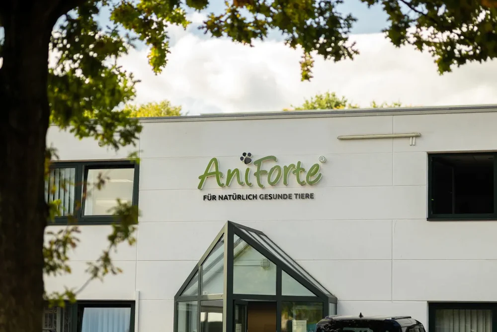 Hello Retail helped us achieve more than we hoped for!