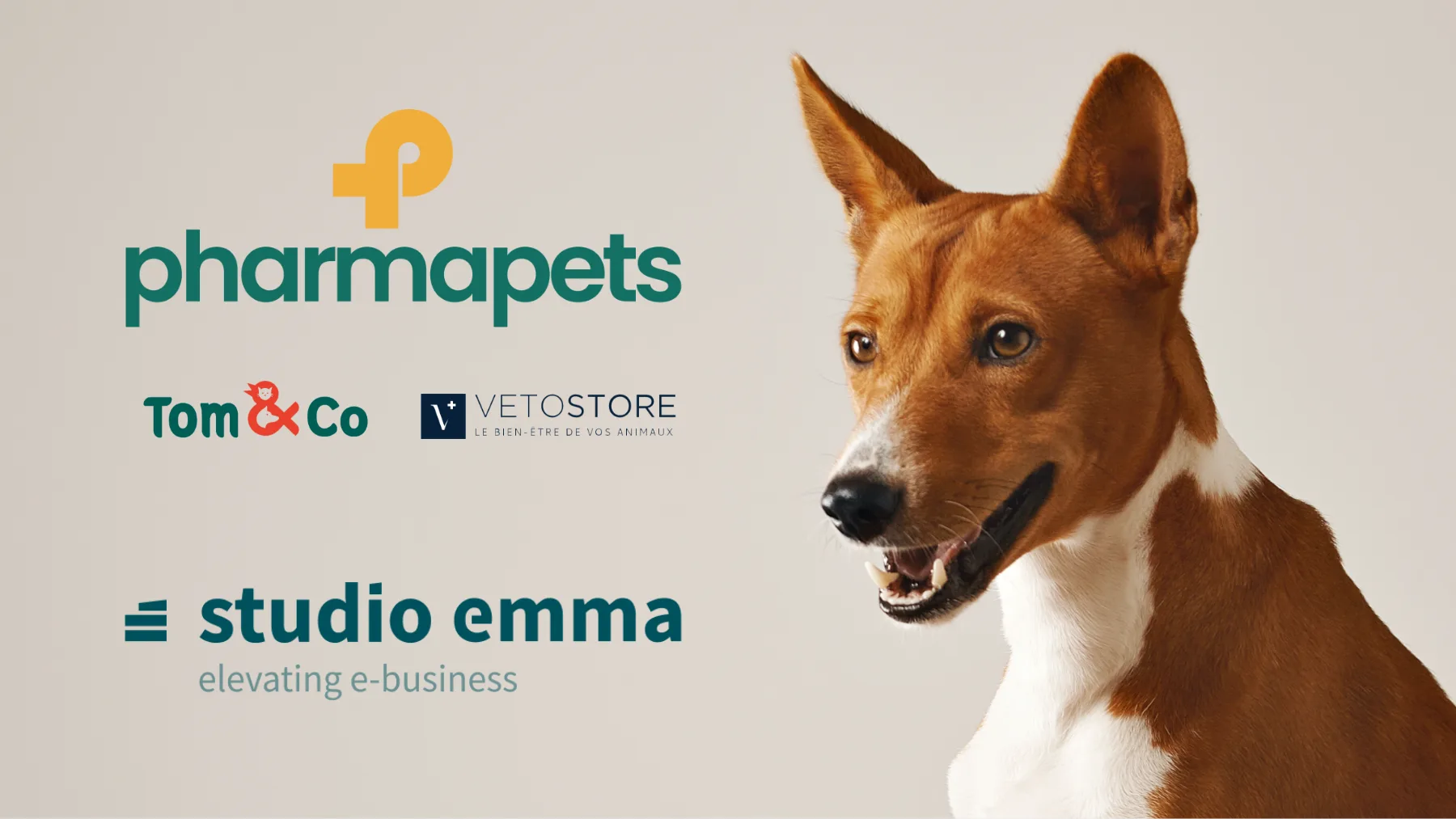 Pharmapets bracht Hello Retail-personalisatie naar Search, Retail Media en Recommendations op drie webshops