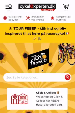 Customer journey optimization Cykelexperten